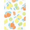 image:imageHudson Baby Unisex Baby Flannel Burp Cloth 12pk Fun Desert One SizeCitrus Mint