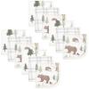 Forest Animals