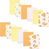 Citrus Orange