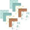 Desert Cactus 10 Pack