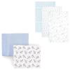 Paper Airplane/Blue Feather