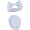 image:imageHudson BabyBlue Toile