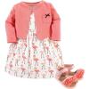 Flamingos