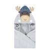 Winter Moose