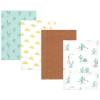 Desert Cactus 4-pack