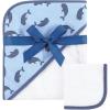 Narwhal