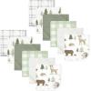Forest Animals