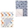 Blue Giraffe/Airplane