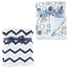 Chevron/Blue Sheep