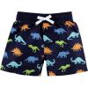 image:imageHudson Baby BabyGirls Swim Rashguard SetRawr