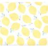 image:imageHudson Baby Unisex Baby Cotton Flannel Receiving Blankets Moose One SizeLemon Daisy