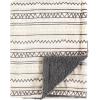 image:imageHudson Baby Unisex Baby Plush Mink and Sherpa Blanket Royal Safari One SizeAztec