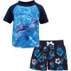 Boy Dolphin