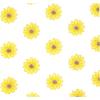 image:imageHudson Baby Unisex Baby Cotton Polyester Flannel Receiving Blankets BundleYellow Daisy