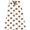 Brown Bear