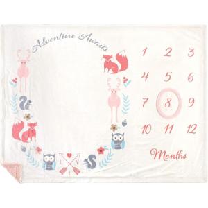 image:imageHudson Baby Unisex Baby Plush Holiday and Milestone Blanket Girl Adventure Awaits One SizeGirl Adventure Awaits