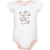 image:imageHudson Baby Infant Girls Cotton Bodysuits 5PackDandelion Wish