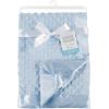 image:imageHudson Baby Unisex Baby Plush Mink Blanket Powder Blue One SizePowder Blue