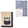Owl/Airplane
