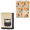 Owl/Forest