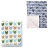 image:image2Pk Plush BlanketBlue ArrowAirplane
