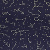 image:imageHudson Baby Unisex Baby Cotton Toddler Pillow Case Butterfly Floral One SizeNavy Constellation