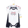 image:imageHudson Baby Unisex Baby Cotton Bodysuit and Pant Set Sage Floral Wreath 36 MonthsFirecracker