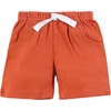 image:imageHudson Baby Unisex Baby Shorts Bottoms 4PackMulti Color Dino