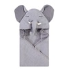 Tusks Elephant