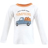 image:imageHudson Baby BabyGirls Long Sleeve TShirtsFall Activities