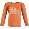image:imageHudson Baby BabyGirls Long Sleeve TShirtsFall Pumpkin Spice