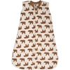 Brown Bear