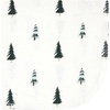 image:imageHudson Baby Unisex Baby Flannel Cotton Poly Washcloths Teddy Bears 12 Pack One SizeBoy Woodland Pals 10pk