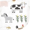 image:imageHudson Baby Unisex Baby Flannel Cotton Poly Washcloths Teddy Bears 12 Pack One SizeCute Farm 10 Pack