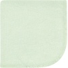 image:imageHudson Baby Unisex Baby Flannel Cotton Poly Washcloths Teddy Bears 12 Pack One SizeDinosaur Adventures 12pk