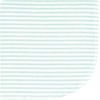 image:imageHudson Baby Unisex Baby Flannel Cotton Poly Washcloths Teddy Bears 12 Pack One SizeEucalyptus 10pk