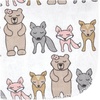 image:imageHudson Baby Unisex Baby Flannel Cotton Poly Washcloths Teddy Bears 12 Pack One SizeWild Forest Pink 10pack