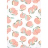 image:imageHudson Baby Unisex Baby Cotton Poly Flannel Burp Cloths Bundle Teddy Bears One SizeSweet Peach