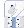 Handsome Elephant