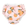 image:imageHudson Baby Unisex Baby Swim Diapers Coral Reef Dolphin 1824 MonthsOranges
