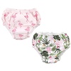 Flamingo Tropical
