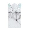 Dreamy Elephant