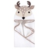 Little Fawn