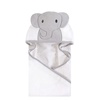 Modern Elephant