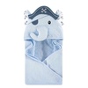 Pirate Elephant