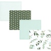 Eucalyptus