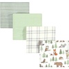 Forest Animals