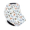 Zoo Animals