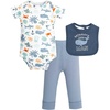 Ocean Animals Whale