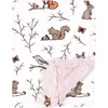 Enchanted Forest
